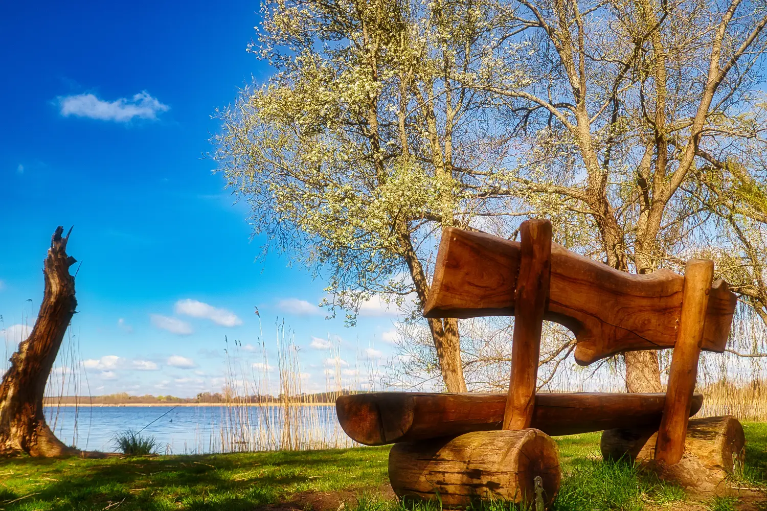 Blankensee - Seelandschaft